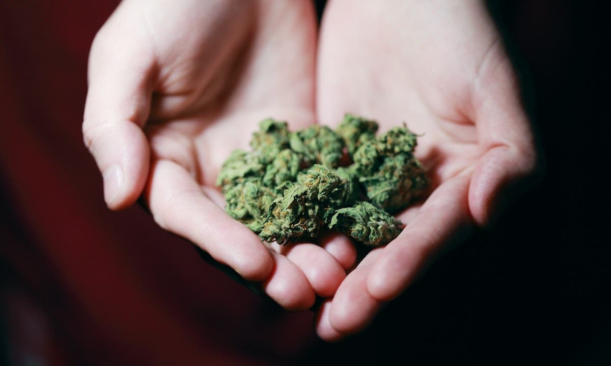 Propiedades del CBD y el cannabis para el deporte – Revista Macaco