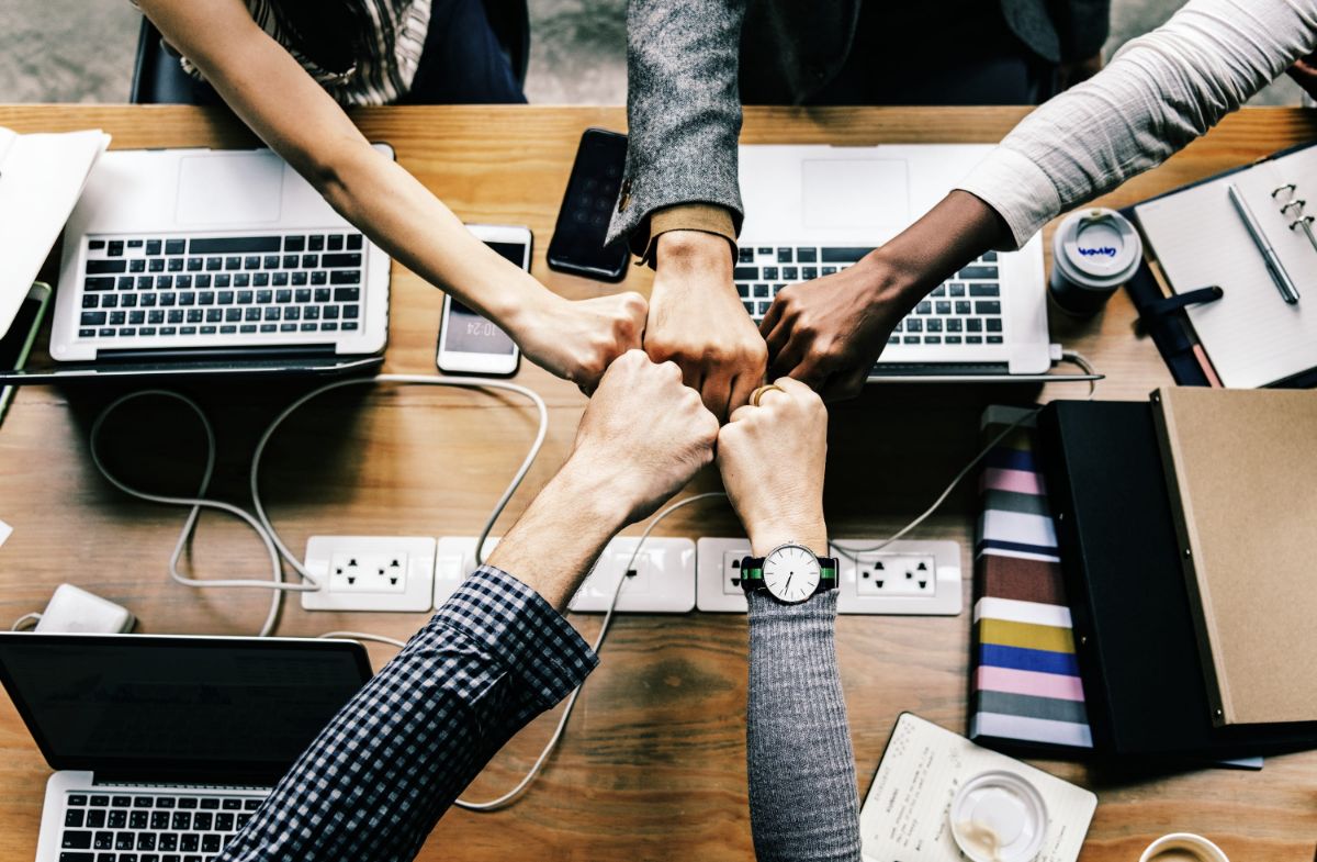 Qué es la formación empresarial, peculiaridades y ventajas – Revista Macaco